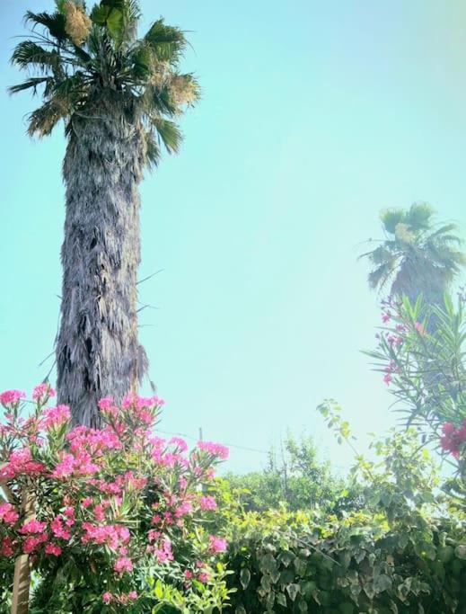 Hotel La Casetta Colorata Catania Exterior foto